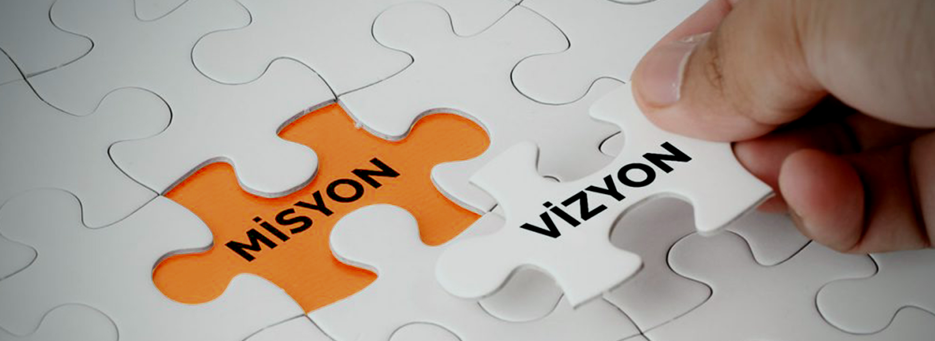 vizyon-misyon